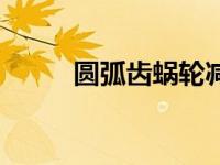 圆弧齿蜗轮减速机（涡轮减速机）