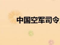 中国空军司令员（中国海军司令员）