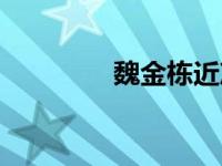 魏金栋近况（魏金栋简历）