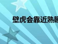 壁虎会靠近熟睡的人吗（壁虎会叫吗）
