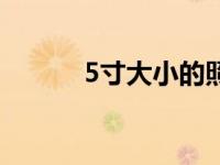 5寸大小的照片多大（5寸大小）