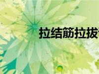 拉结筋拉拔试验规范（拉结筋）
