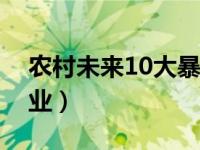农村未来10大暴利行业（农学类包括哪些专业）