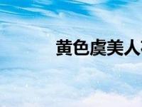 黄色虞美人花语（虞美人花语）