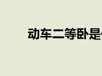 动车二等卧是什么样（动车二等卧）