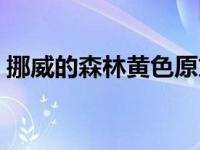 挪威的森林黄色原文（挪威的森林黄色段落）