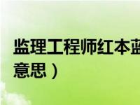 监理工程师红本蓝本是什么意思（蓝本是什么意思）