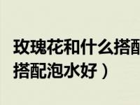 玫瑰花和什么搭配泡水好一点（玫瑰花和什么搭配泡水好）