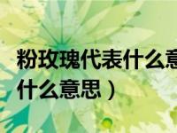 粉玫瑰代表什么意思花语是什么（粉玫瑰代表什么意思）