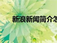 新浪新闻简介怎么写（新浪新闻简介）