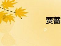 贾蔷简介（贾蔷）