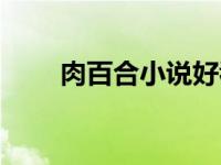 肉百合小说好看（带肉的百合小说）