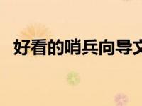 好看的哨兵向导文推荐（哨兵向导耽美文）