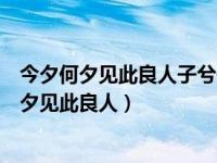今夕何夕见此良人子兮子兮如此良人何是什么意思（今夕何夕见此良人）