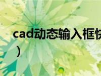 cad动态输入框快捷键（动态输入快捷键cad）