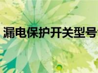 漏电保护开关型号含义（漏电保护开关型号）