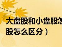 大盘股和小盘股怎么区分图片（大盘股和小盘股怎么区分）