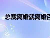 总裁离婚就离婚百度云（总裁离婚就离婚）