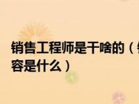 销售工程师是干啥的（销售工程师的具体职责是什么 工作内容是什么）