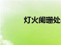 灯火阑珊处小说（灯火阑珊处）