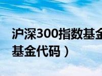 沪深300指数基金排名前十名（沪深300指数基金代码）