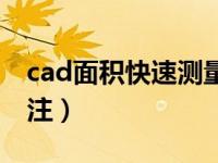 cad面积快速测量标注（cad怎么量面积并标注）