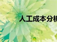 人工成本分析表（人工成本分析）