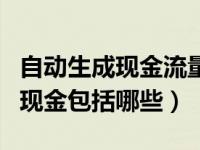 自动生成现金流量表的小软件（现金流量表的现金包括哪些）