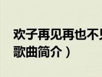 欢子再见再也不见歌词（再见再也不见-欢子歌曲简介）
