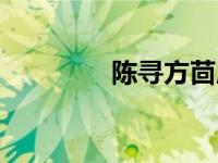 陈寻方茴原型（陈寻方茴）