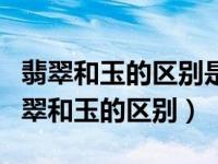 翡翠和玉的区别是什么?哪一个更好?视频（翡翠和玉的区别）