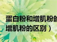 蛋白粉和增肌粉的区别所在是什么（蛋白粉和增肌粉的区别）