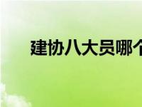 建协八大员哪个证最好（建协八大员）