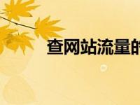 查网站流量的网址（查网站流量）
