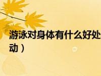 游泳对身体有什么好处和坏处（游泳是有氧运动还是无氧运动）