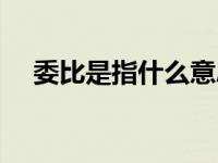 委比是指什么意思（什么是委比和委差）