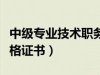 中级专业技术职务资格证书（专业技术职务资格证书）