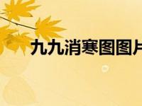 九九消寒图图片（九九消寒图的故事）