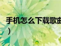 手机怎么下载歌曲伴奏（怎么把音乐变成伴奏）
