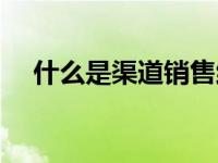 什么是渠道销售维护（什么是渠道销售）