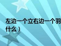 左边一个立右边一个羽念什么呀（左边一个立右边一个羽念什么）