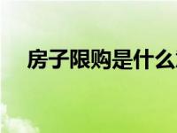 房子限购是什么意思（限购是什么意思）