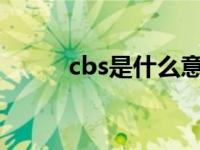 cbs是什么意思（bs是什么意思）