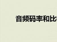 音频码率和比特率（码率和比特率）