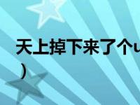 天上掉下来了个ufo插曲（天上掉下个干露露）