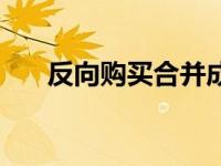 反向购买合并成本的理解（反向购买）