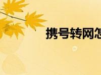 携号转网怎么弄（带号转网）