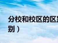 分校和校区的区别 张雪峰（分校和校区的区别）