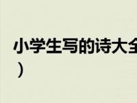 小学生写的诗大全四年级（小学生写的诗大全）