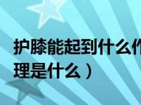 护膝能起到什么作用（护膝能够保护身体的原理是什么）